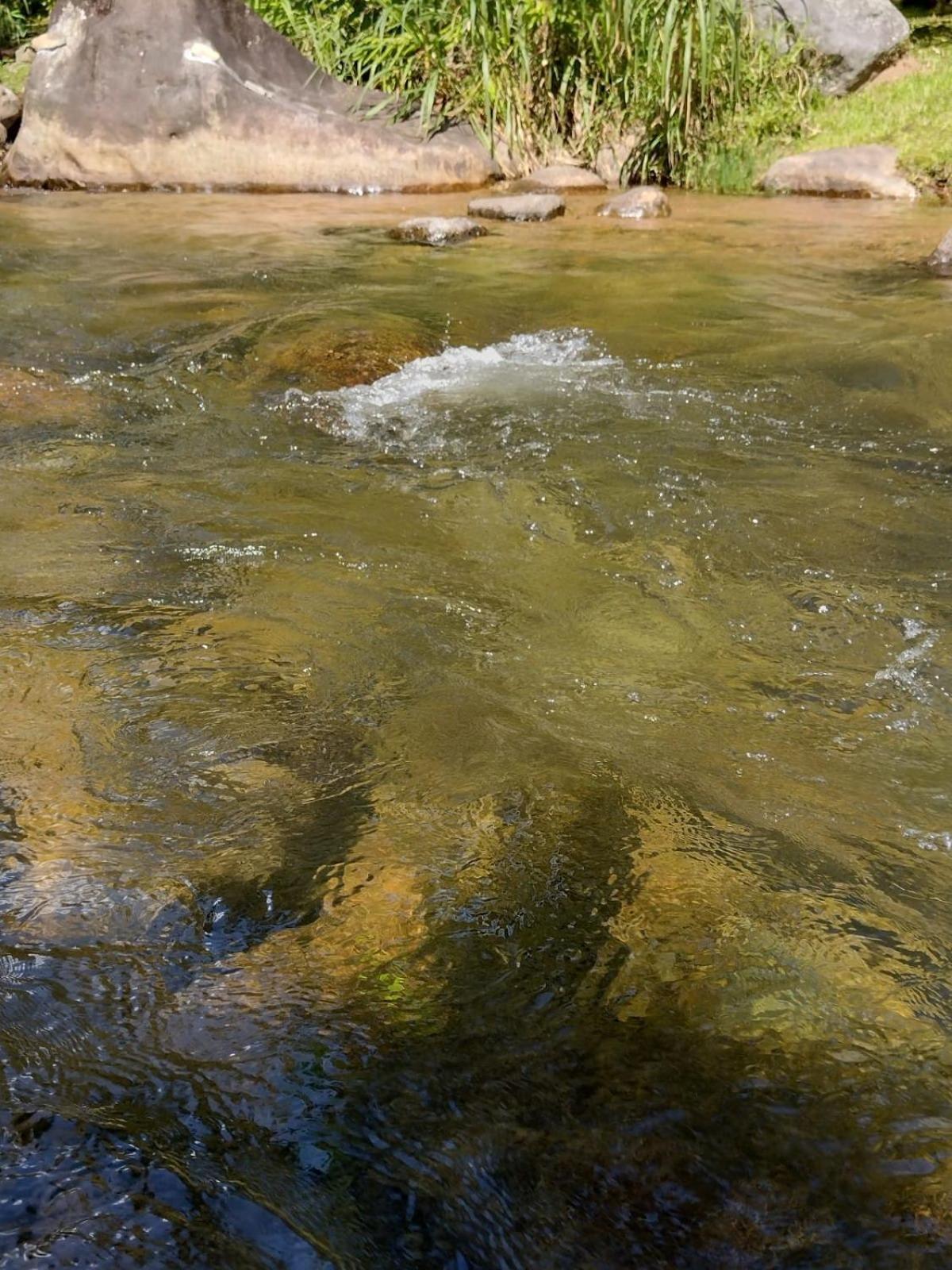 Pousada Toque De Minas Visconde De Maua Esterno foto